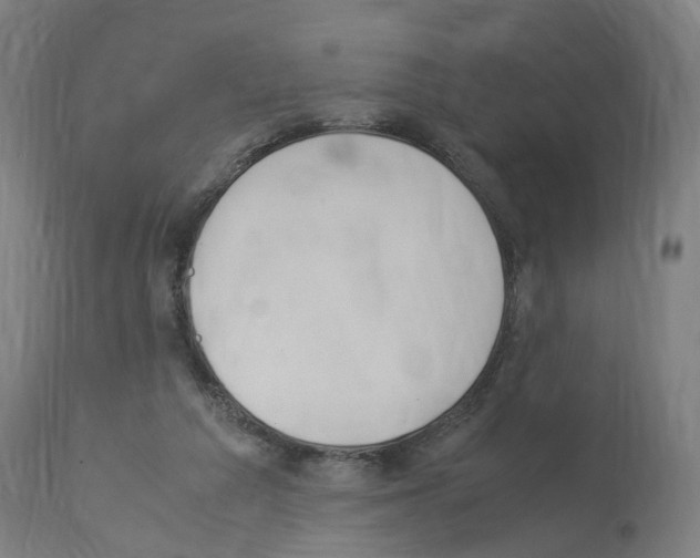 X0000114010209200911131212