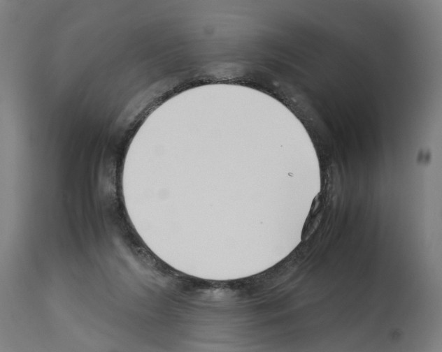 X0000114010212200911131211