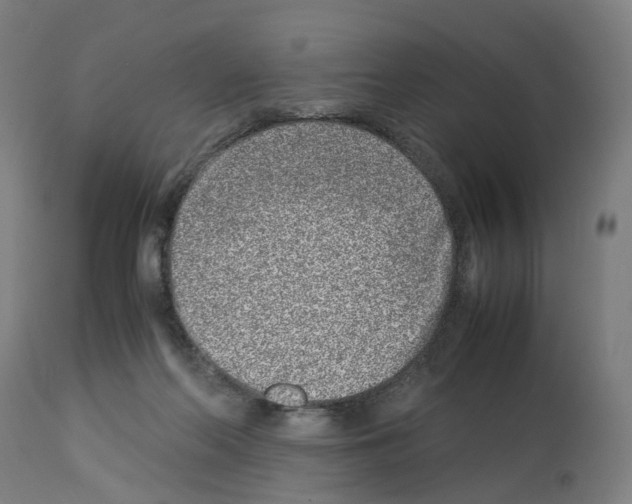X0000114010214200911131211
