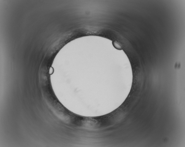 X0000114010215200911131211