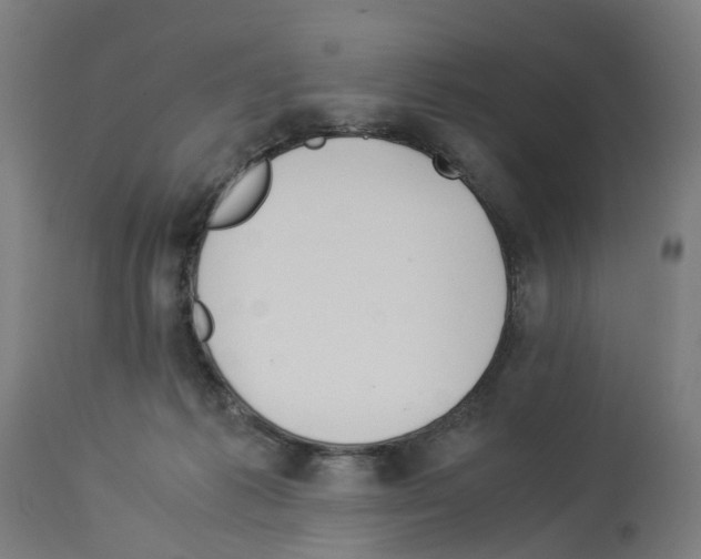 X0000114010221200911131211