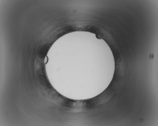 X0000114010225200911131211