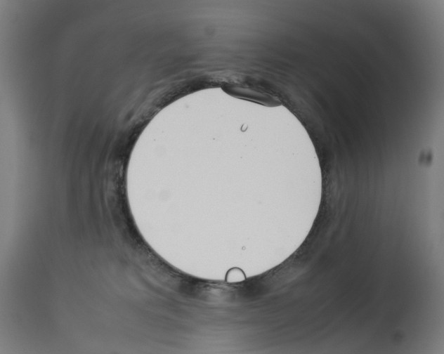 X0000114010229200911131211