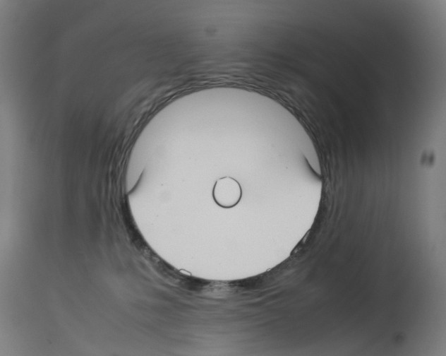 X0000114010231200911131211