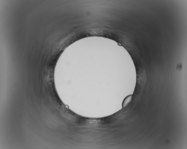X0000114010233200911131211