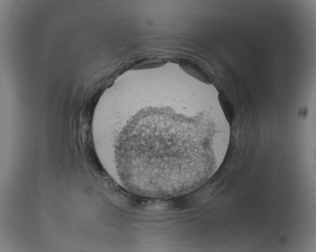 X0000114010235200911131211