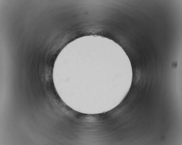 X0000114010236200911131211