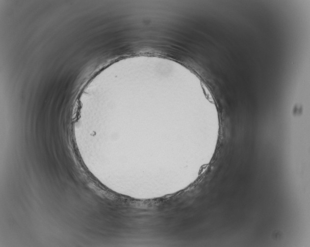 X0000114010241200911131210