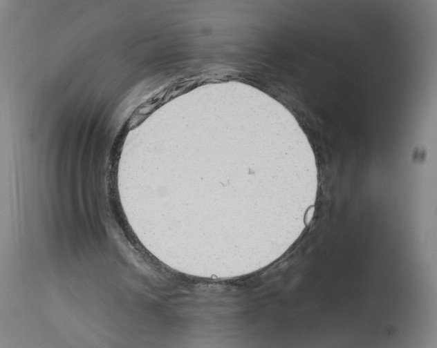 X0000114010242200911131210