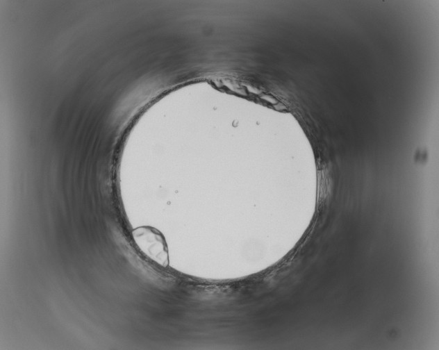 X0000114010243200911131210