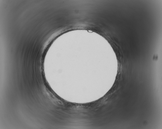 X0000114010244200911131210