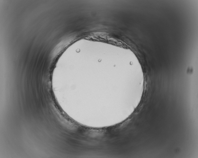 X0000114010245200911131210
