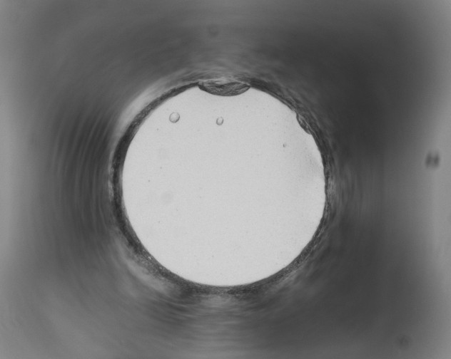 X0000114010246200911131211