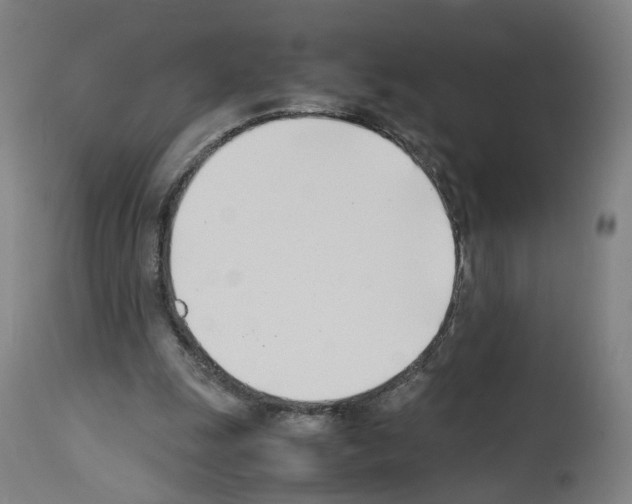 X0000114010247200911131211
