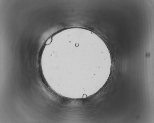 X0000114010248200911131211