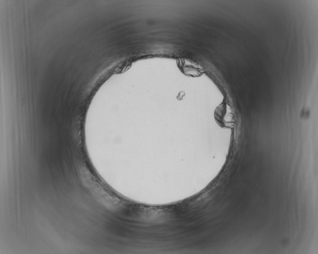X0000114010249200911131211