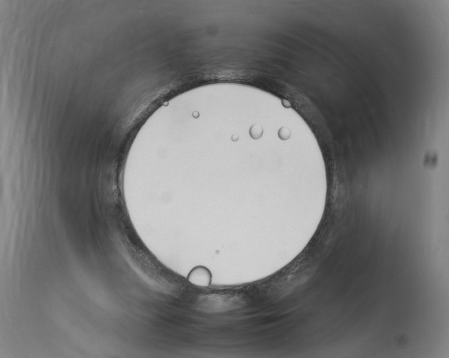 X0000114010251200911131211