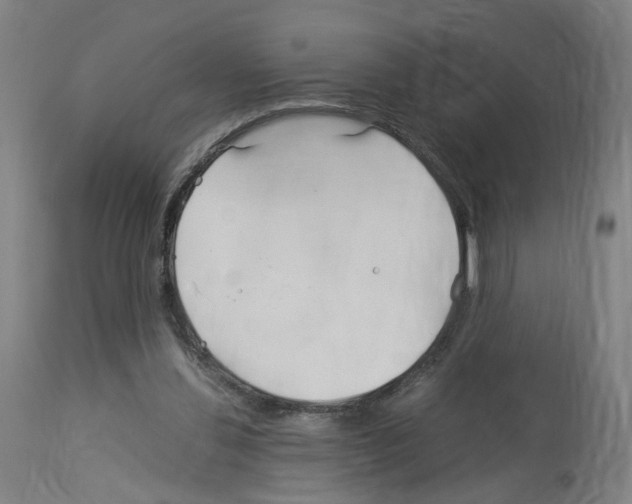 X0000114010252200911131211