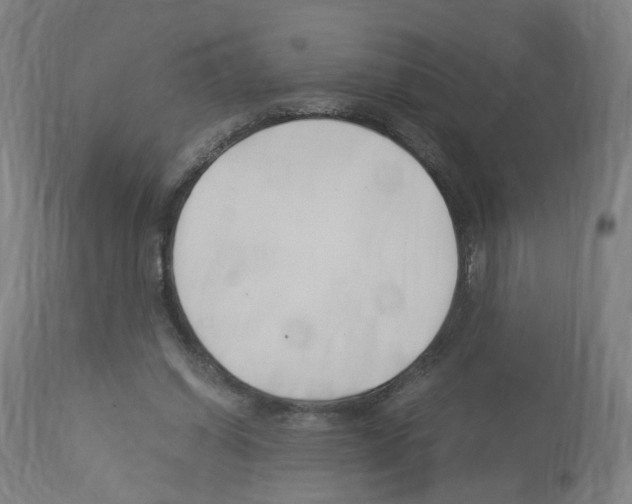 X0000114010254200911131211