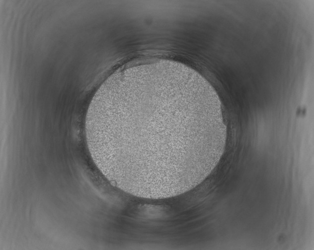 X0000114010255200911131211