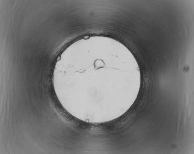 X0000114010256200911131211