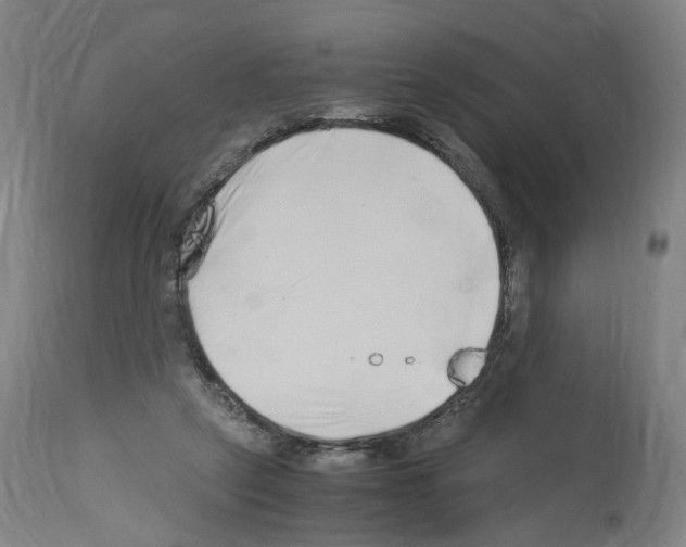 X0000114010257200911131211