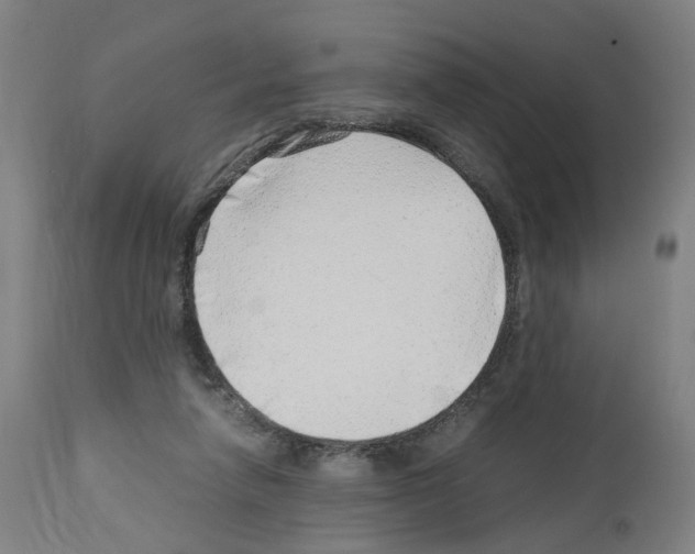 X0000114010258200911131211