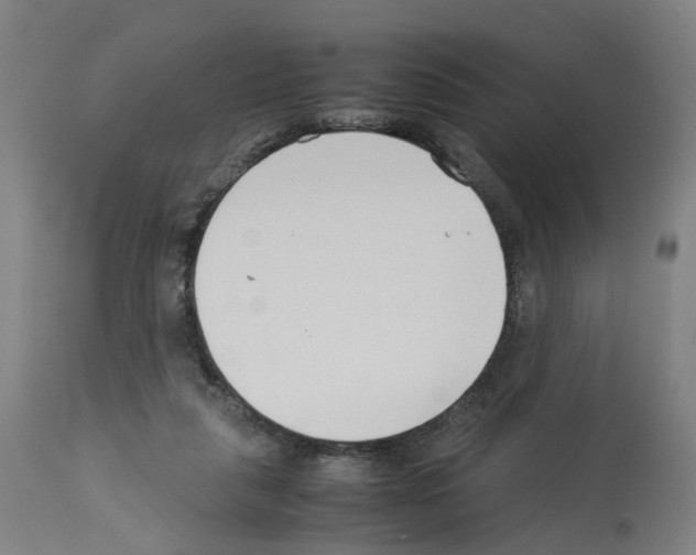 X0000114010259200911131211