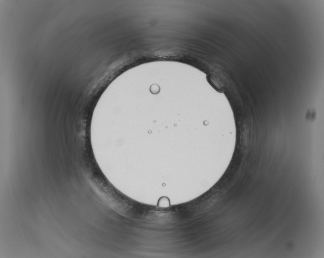 X0000114010260200911131211