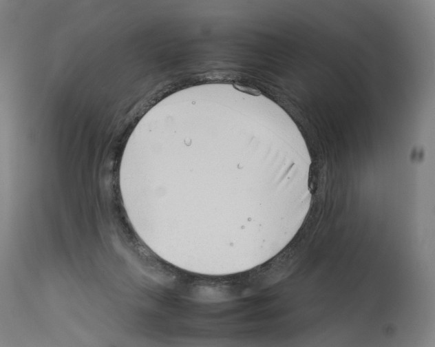 X0000114010263200911131211