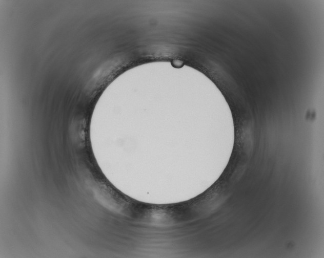 X0000114010264200911131211