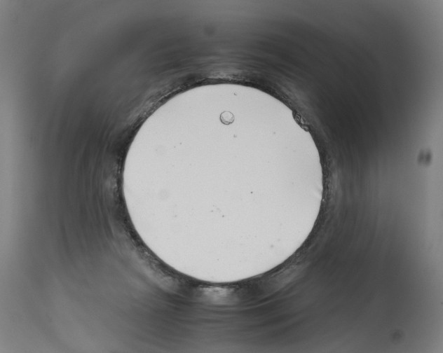 X0000114010265200911131211