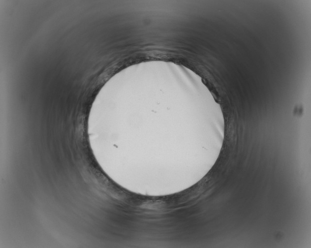 X0000114010271200911131211