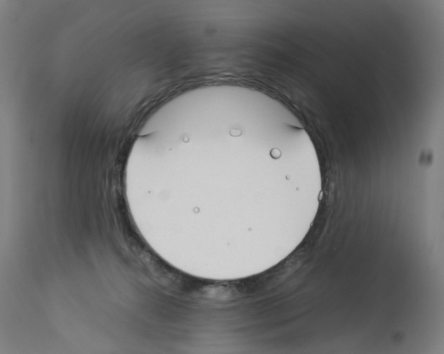 X0000114010272200911131211