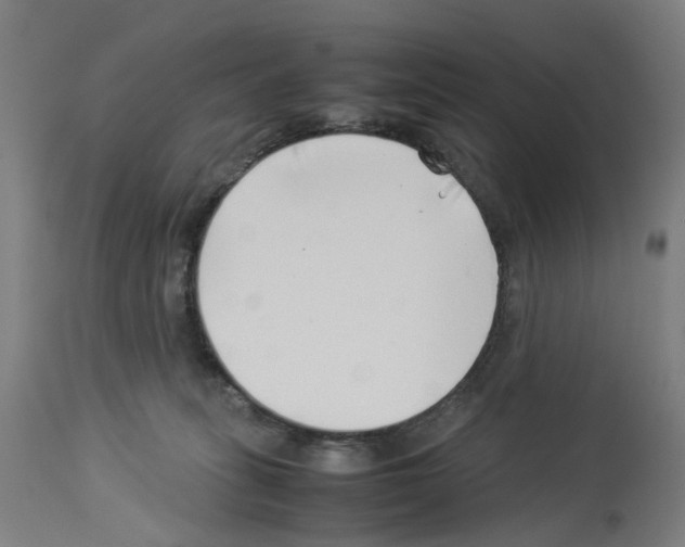 X0000114010275200911131211