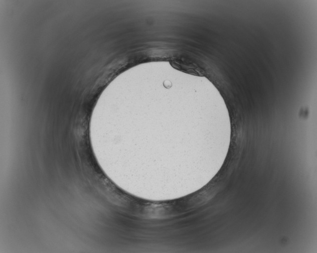X0000114010277200911131211