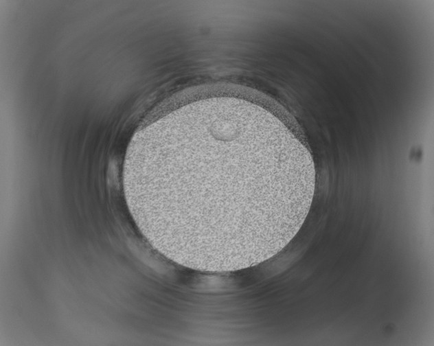 X0000114010286200911131211