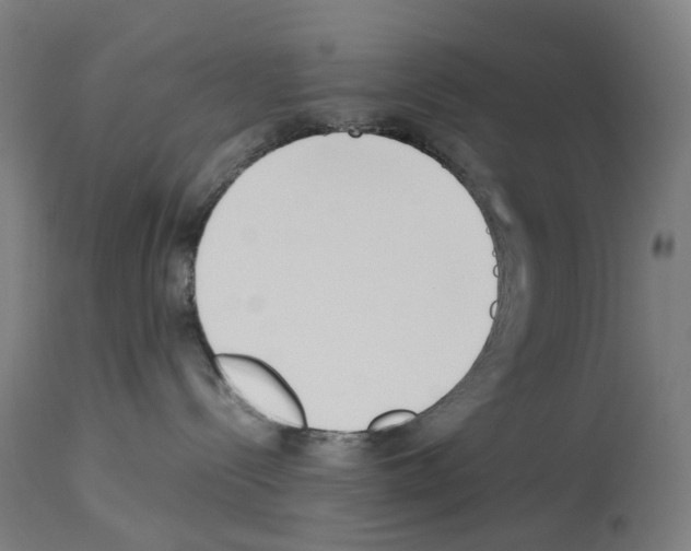 X0000114010288200911131211