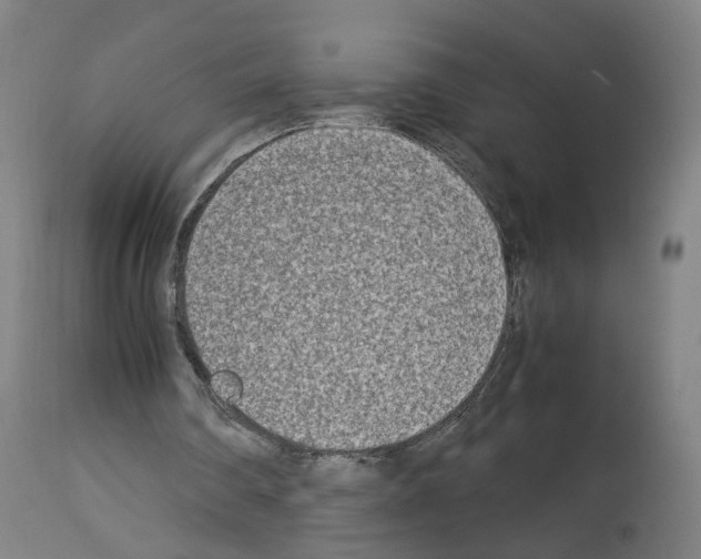 X0000114010290200911131210