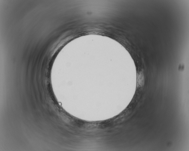 X0000114010291200911131210