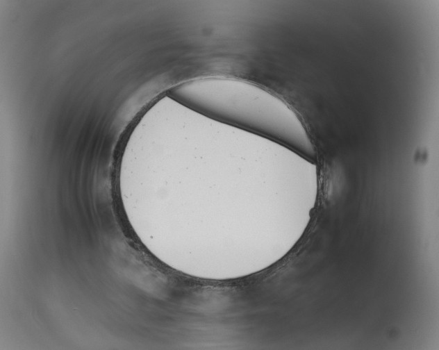 X0000114010292200911131210