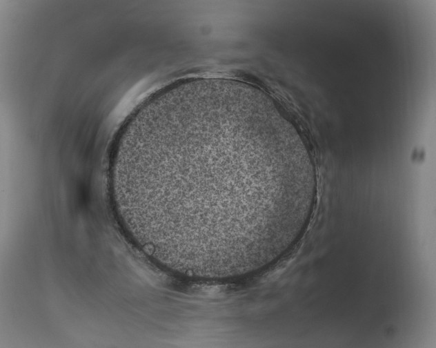X0000114010295200911131210