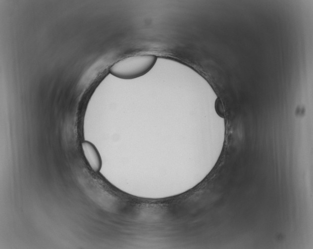 X0000114010296200911131210