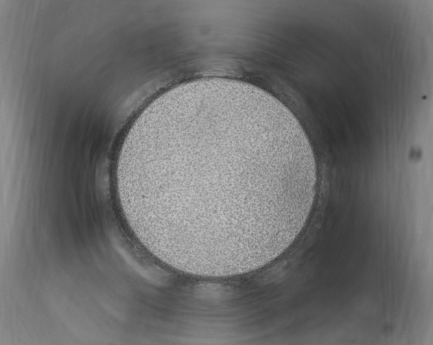X0000114010298200911131210