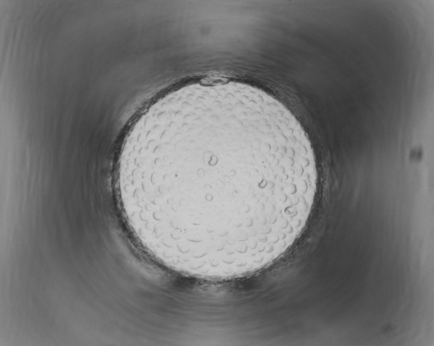 X0000114010299200911131210