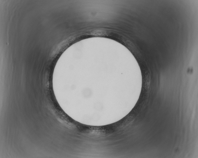 X0000114010303200911131210