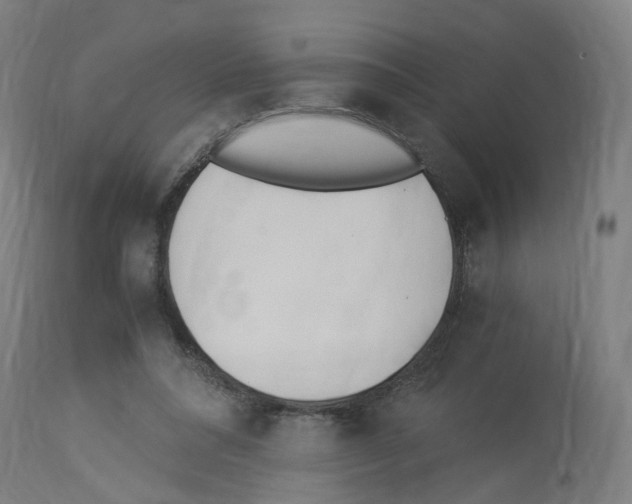 X0000114010304200911131210