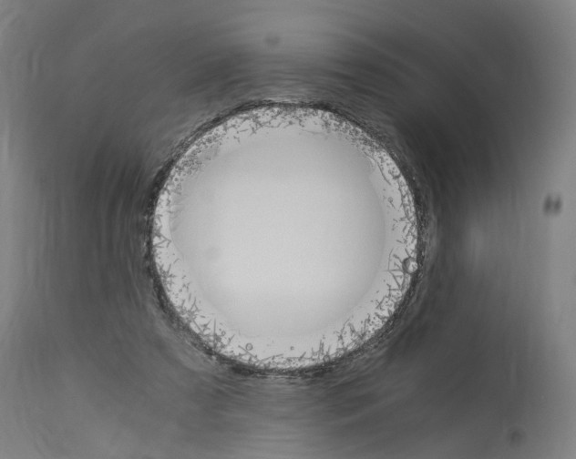 X0000114010305200911131210