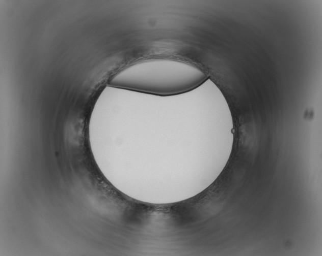 X0000114010308200911131210