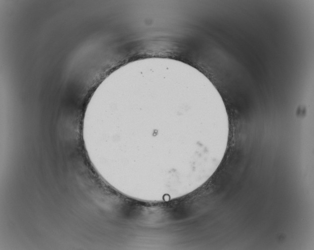 X0000114010309200911131210